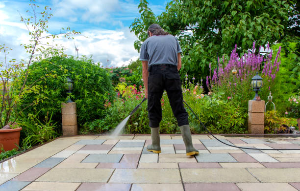 Best Brick and Stone Cleaning in Flower Hill, NY